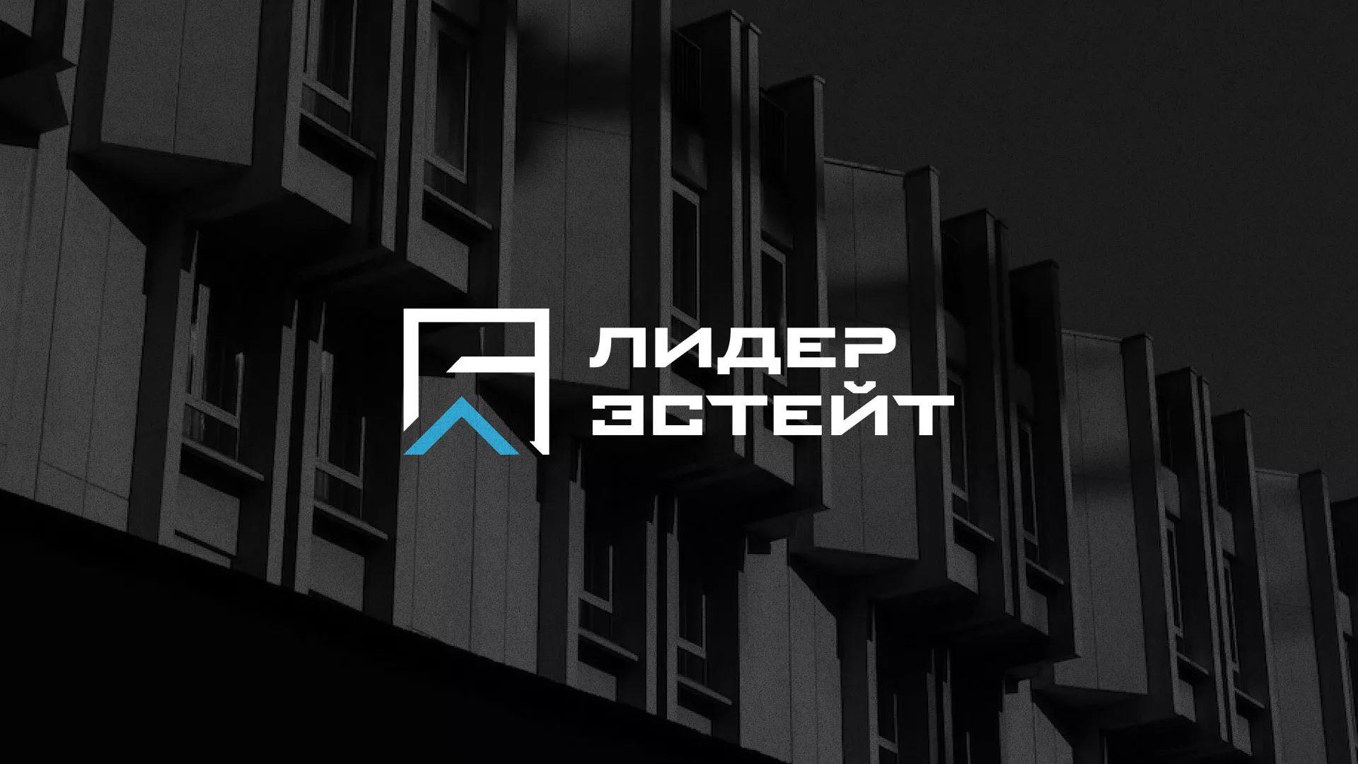 Разработка логотипа агентства недвижимости «Лидер Эстейт» в Кузнецке